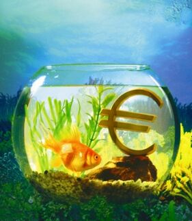 акваріум із золотою рибкою для залучення грошей